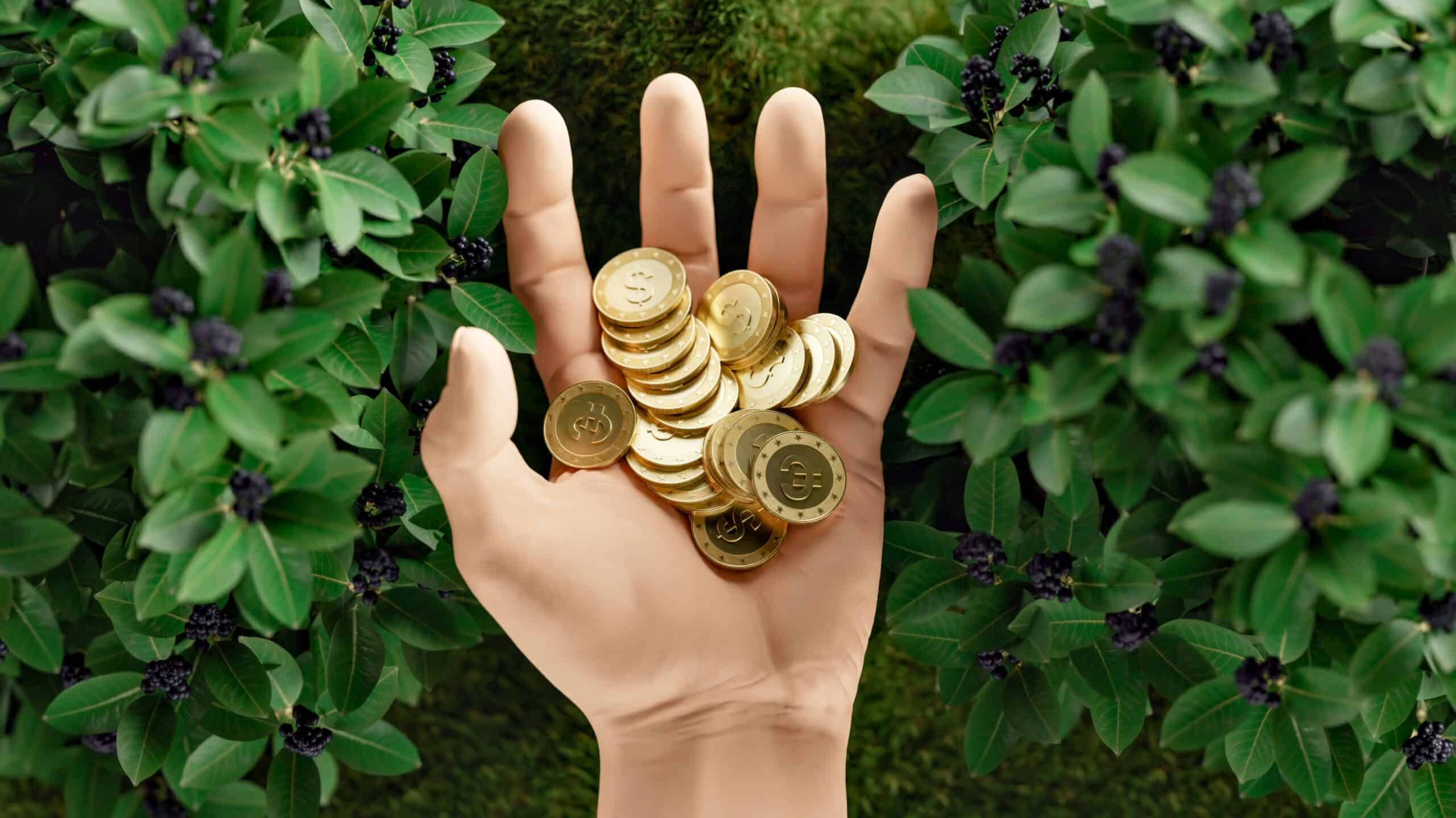 A hand holding a pile of shiny gold coins is surrounded by green leafy plants with small dark berries, symbolizing growth through smart retirement income strategies, set against a grassy background.